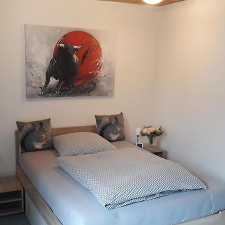 1 Zimmer Appartment Springe Exterior photo